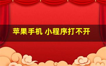 苹果手机 小程序打不开